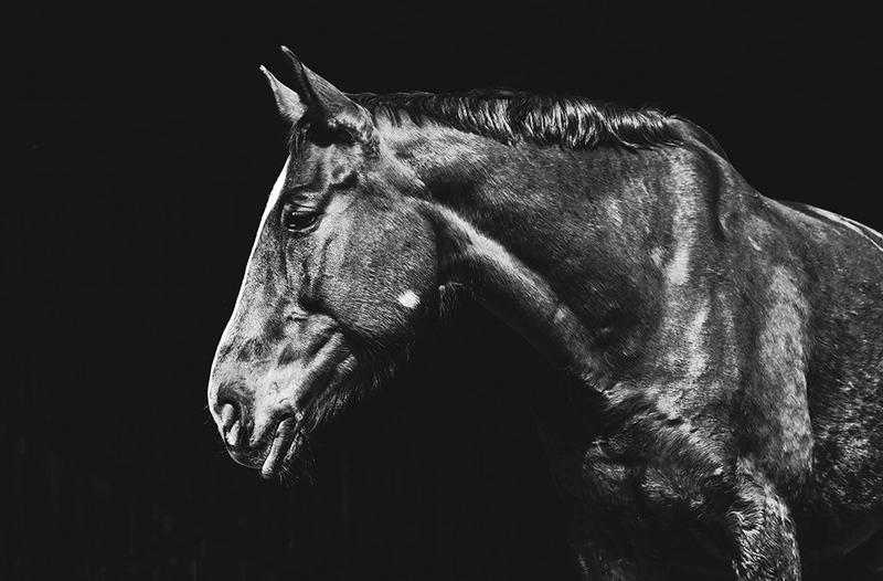 Fototapeta a618